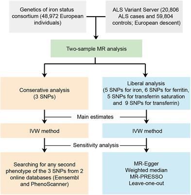 Iron Status May Not Affect Amyotrophic Lateral Sclerosis: A Mendelian Randomization Study